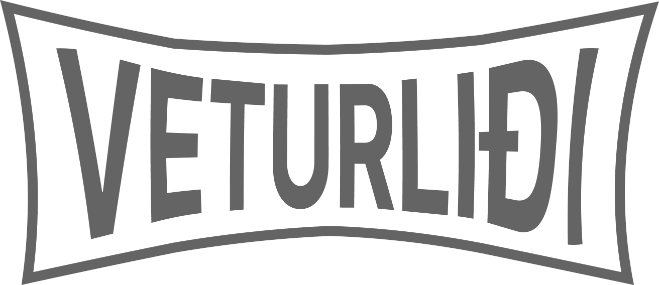 VETURLIÐI - Vetrarþjónusta fyrirtæki